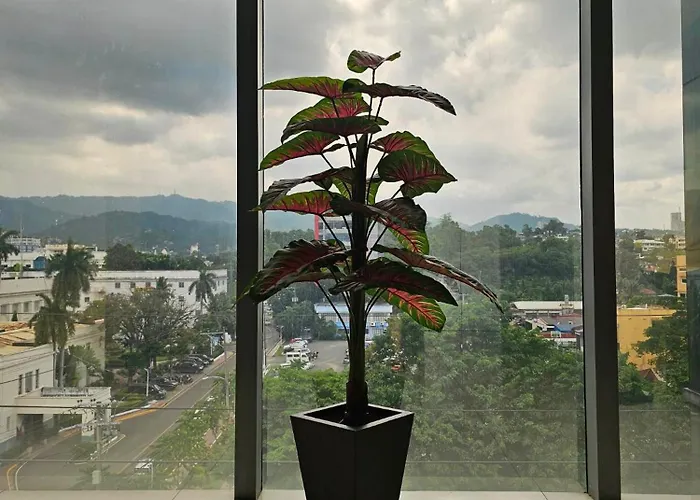 Hotel Capitol & Powered By Cocotel 3*